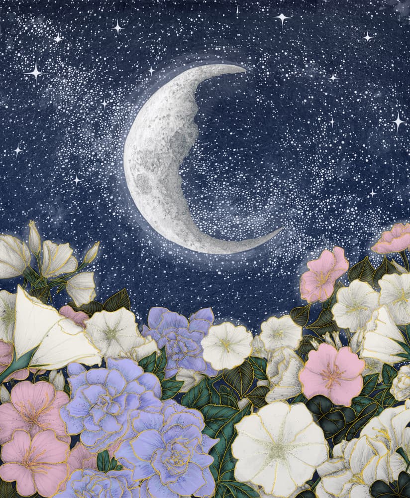 Moonlit Floral Garden by EC Mazur — canvas wall art