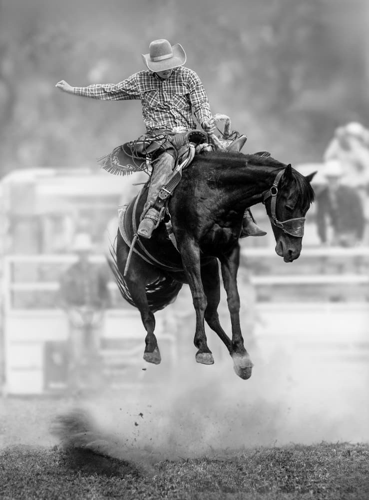Bucking Bronco Cowboy by Frank Ma — canvas wall art