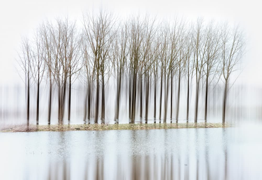 Serene Tree Reflections by Hilda van der Lee — canvas wall art