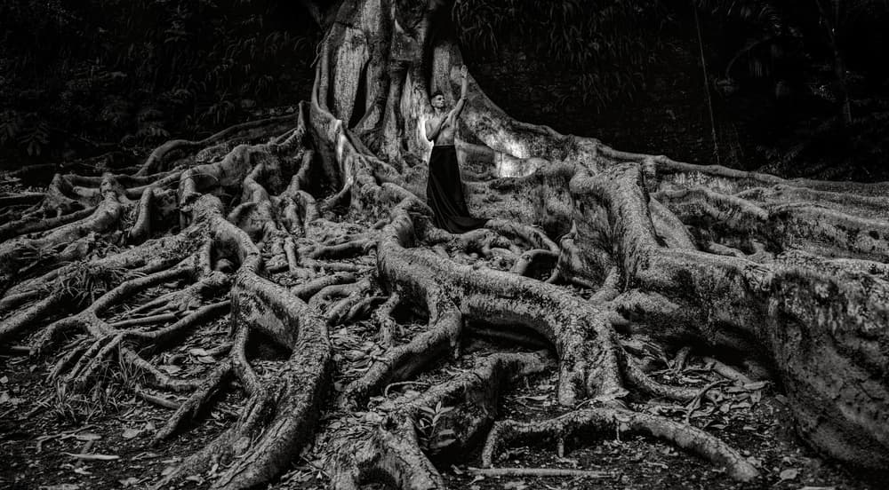 Woman Among Ancient Roots by Paulo Medeiros — canvas wall art