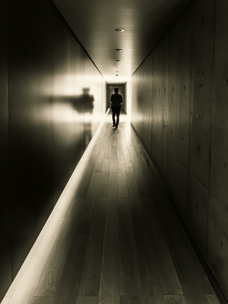 Path to Light by IKUMI FUKAZAWA — canvas wall art
