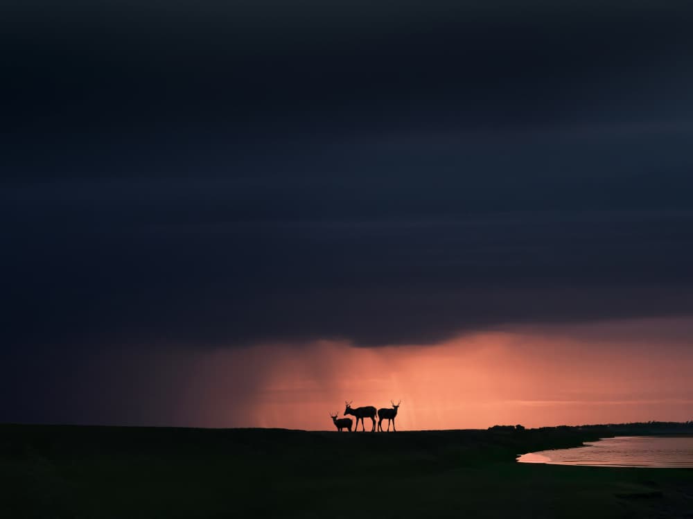 Deer Silhouette Sunset Storm by NingYun Ye — canvas wall art