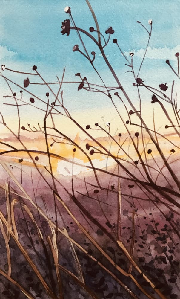 Tranquil Sunset Field by Luisa Millicent — canvas wall art