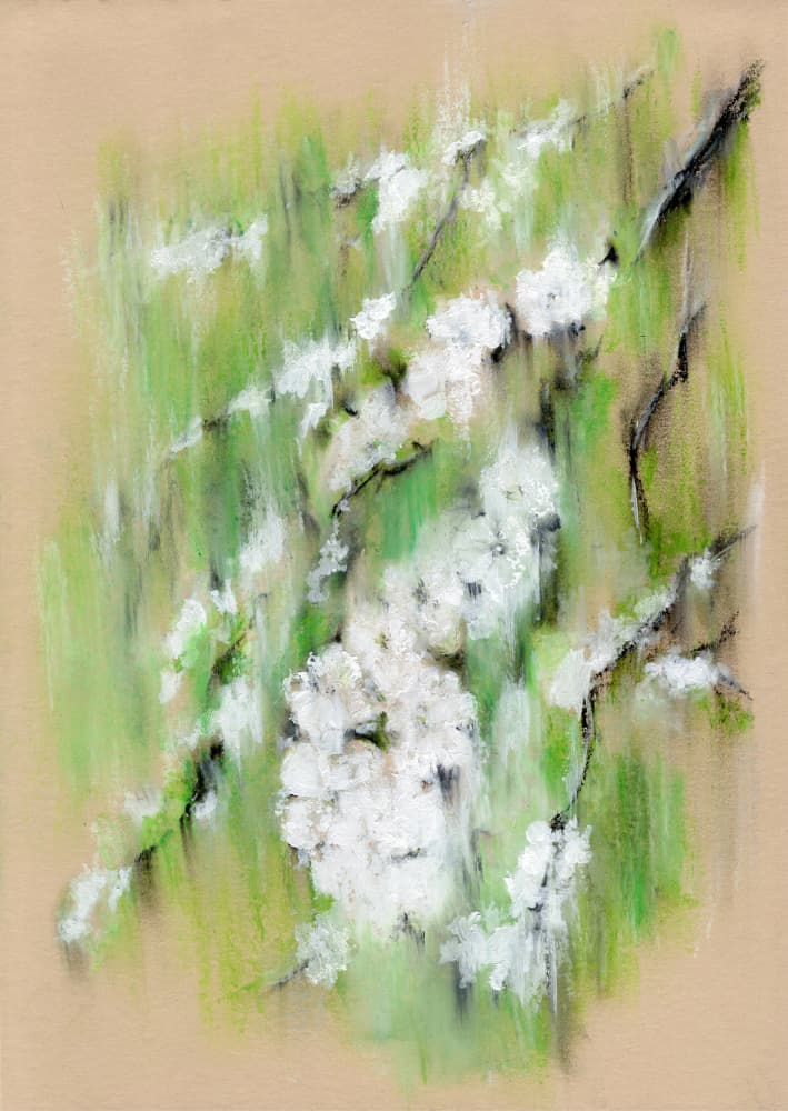 White Spring Blossoms by Helena Engström — canvas wall art