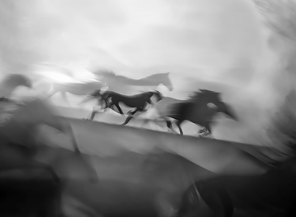 Dynamic Running Horses by Milan Malovrh — canvas wall art