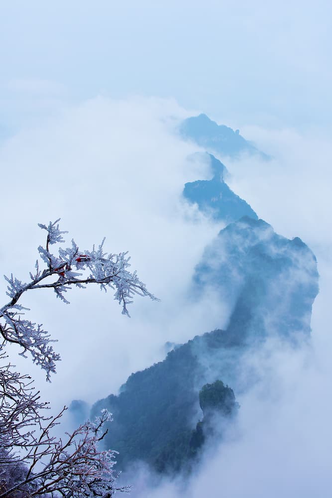 Misty Mountain Frost by Eric Zhang — canvas wall art