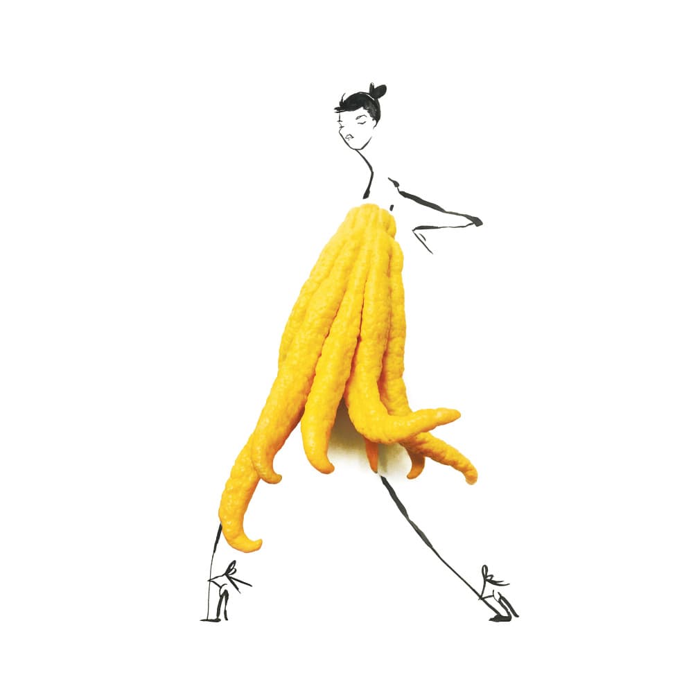 Whimsical Fruit Dress by Gretchen Roehrs — canvas wall art