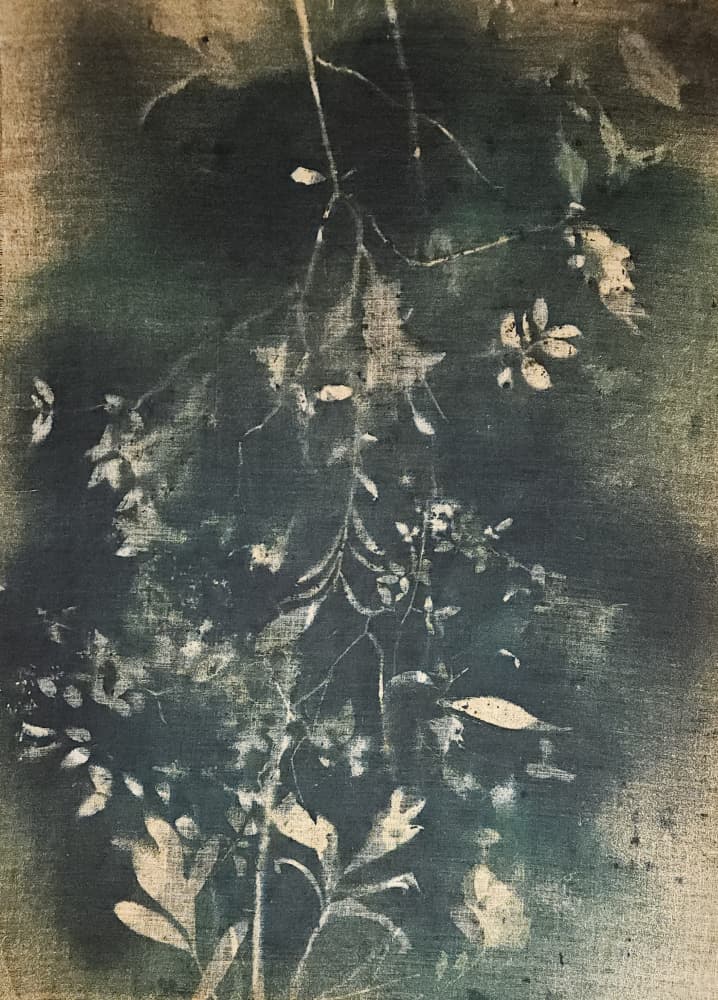Dark Botanical Study by Stefano Mazzolini — canvas wall art