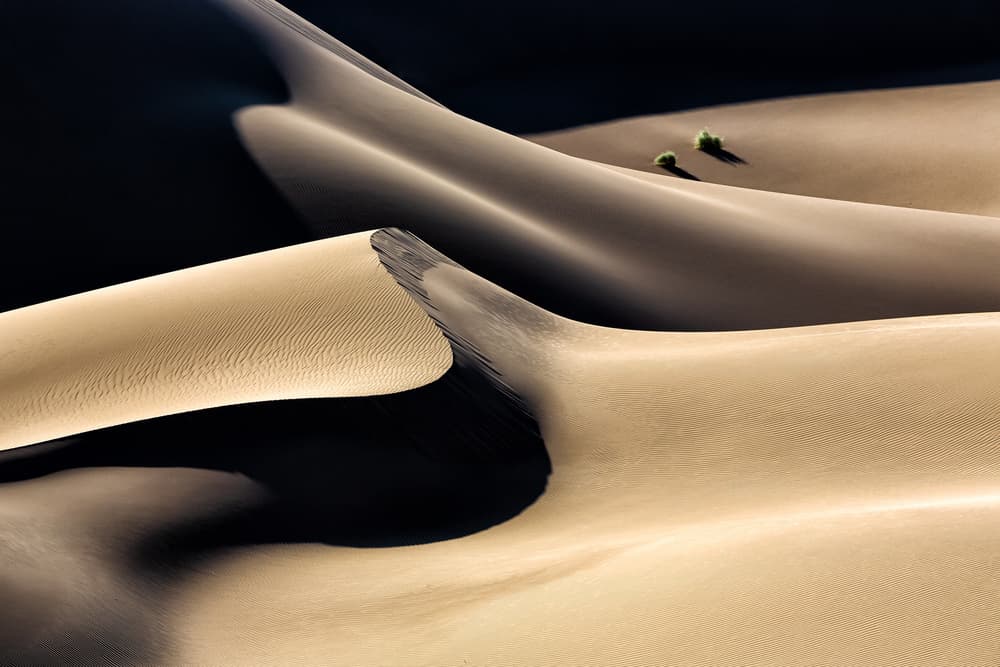 Sweeping Desert Dunes by Mohammadreza Momeni — canvas wall art