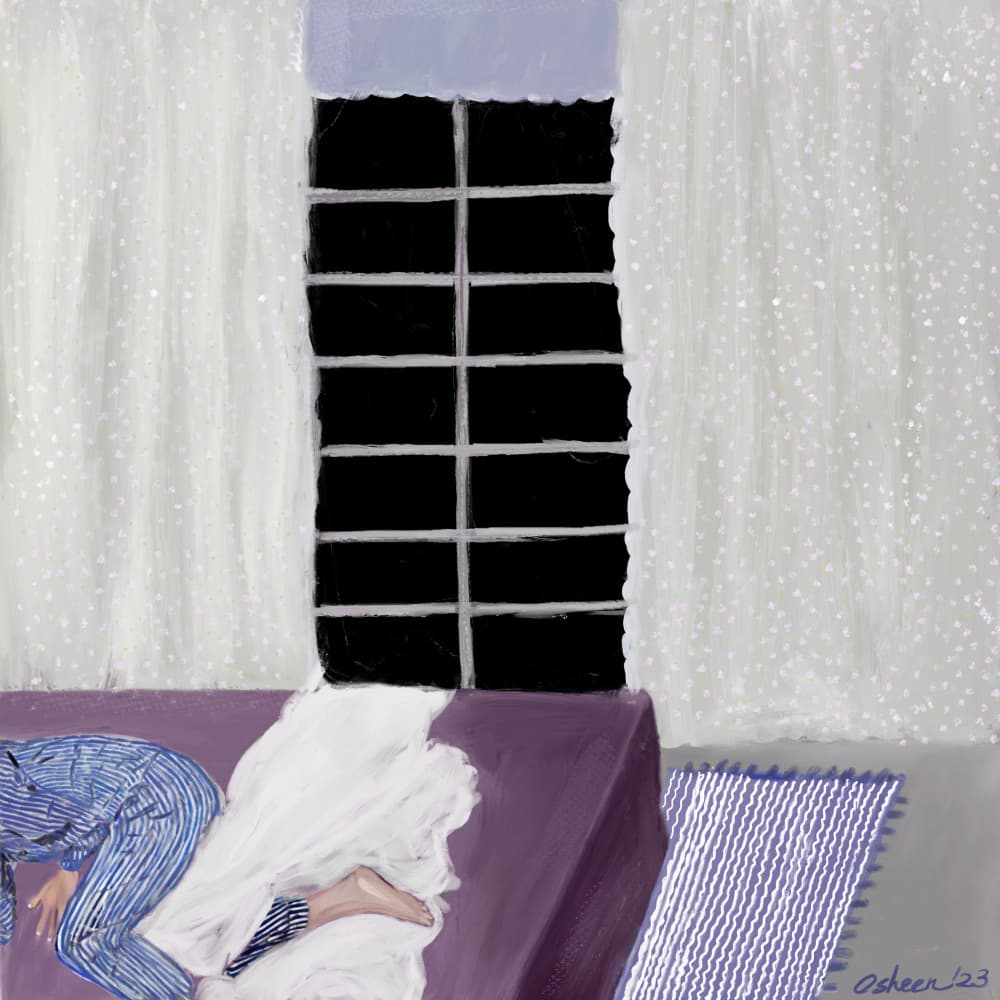 Cozy Window Sleep by Osheensgallery — canvas wall art