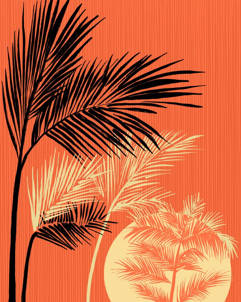 Warm Tropical Sunset Palms by CATS AND DOTZ — canvas wall art