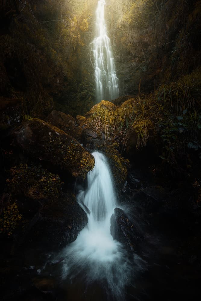 Misty Forest Waterfall by Juan Pablo de Miguel — canvas wall art
