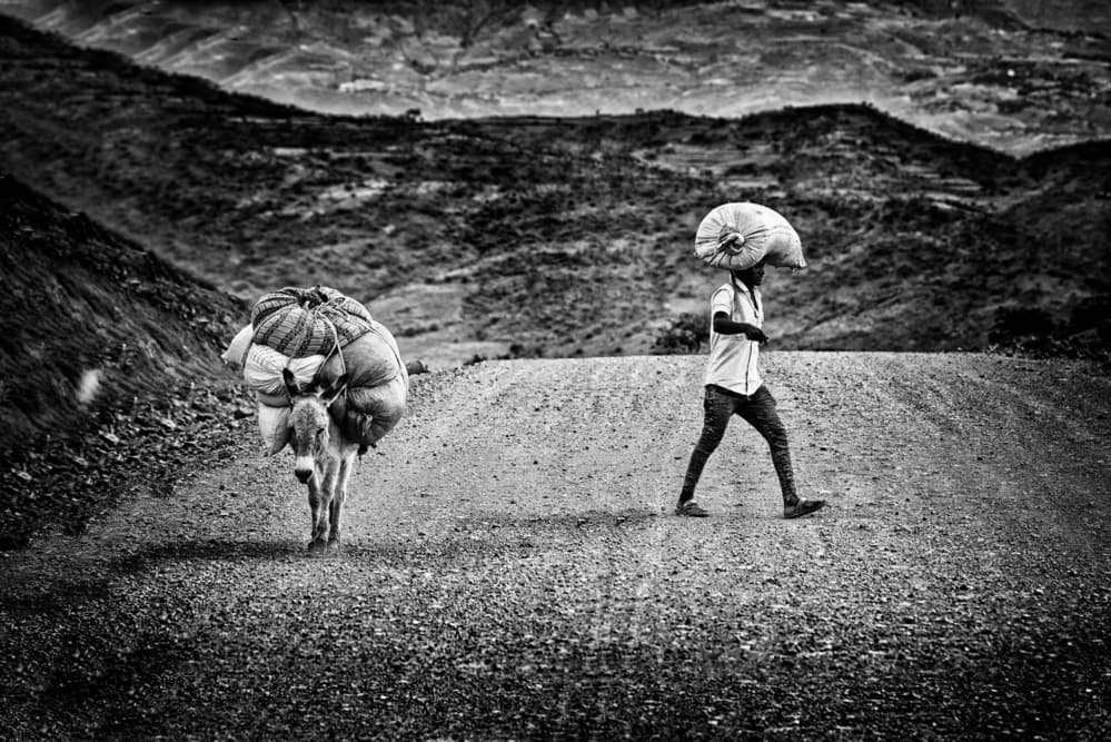 Man Donkey Heavy Load by Giovanni Cavalli — canvas wall art