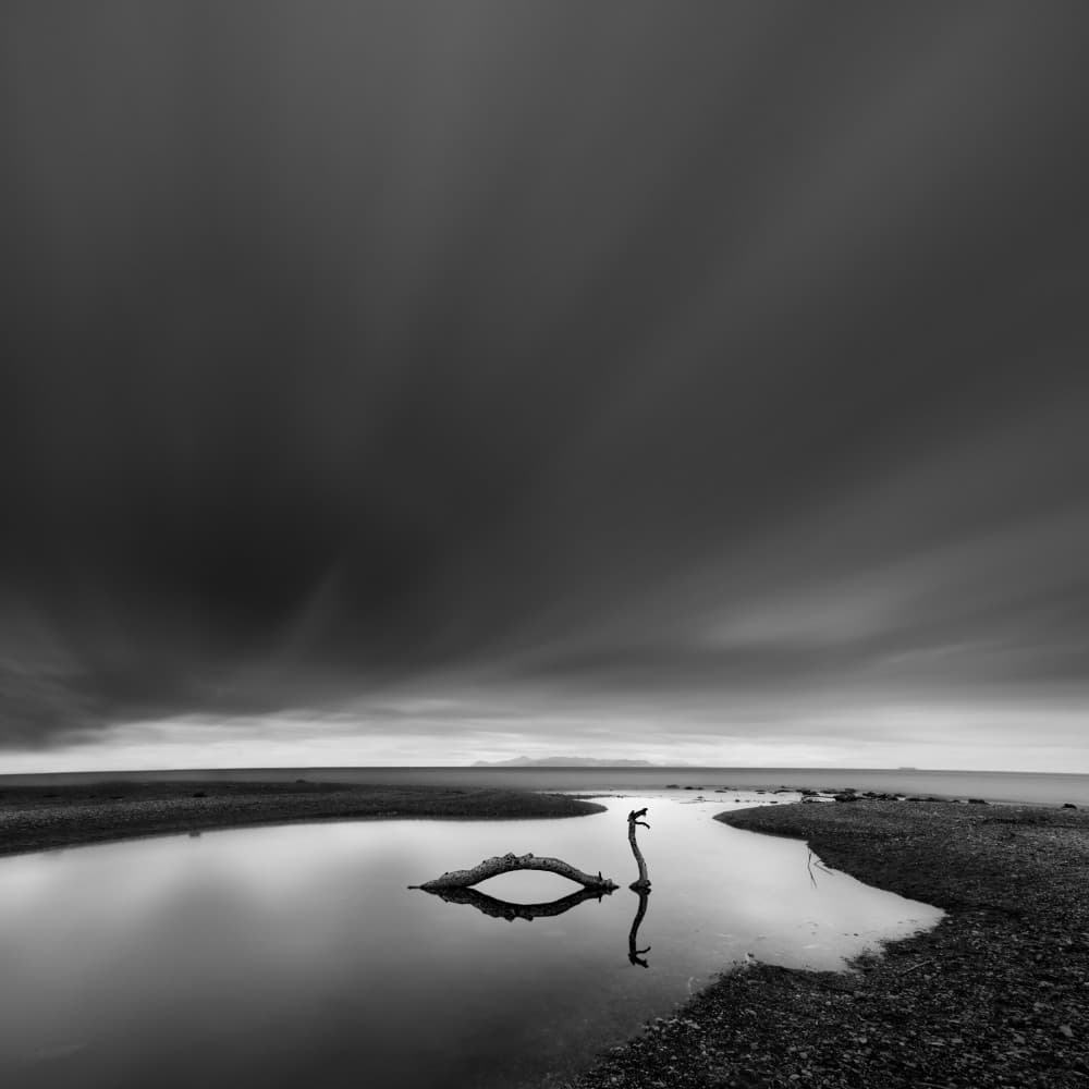 Serene Coastal Driftwood by George Digalakis — canvas wall art
