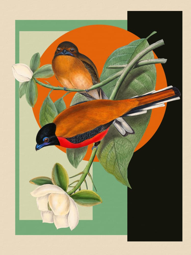 Vibrant Birds and Magnolia by Marja van den Hurk — canvas wall art