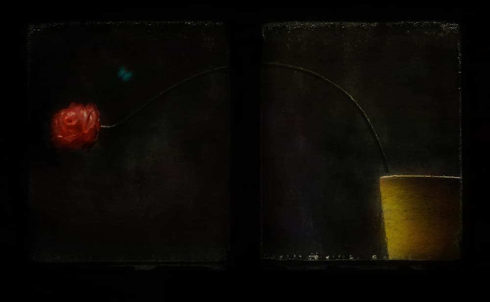 Dark Rose Yellow Study by Delphine Devos — canvas wall art