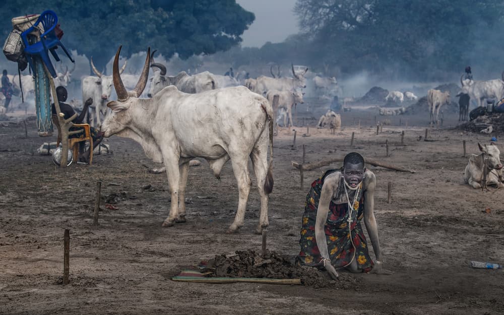 African Cattle Camp by Joxe Inazio Kuesta Garmendia — canvas wall art