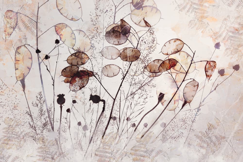 Seeds and more by Nel Talen — canvas wall art