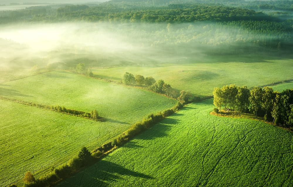 Green Fields Morning Mist by Keller — canvas wall art