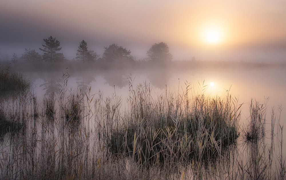 Misty Lake Sunrise by Ulrike Eisenmann — canvas wall art