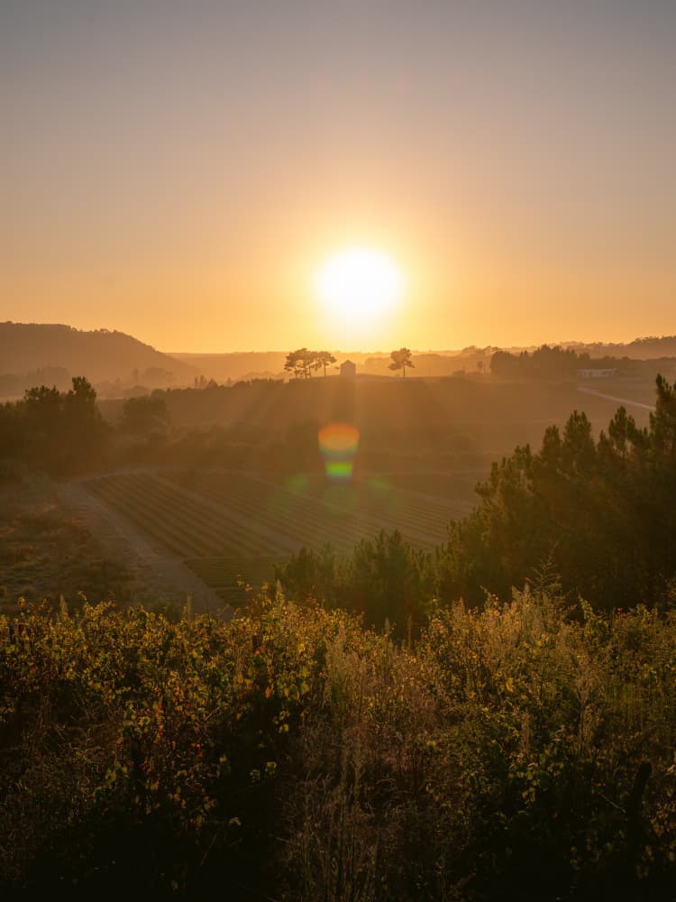 Portugal summer by Raisa Zwart — canvas wall art