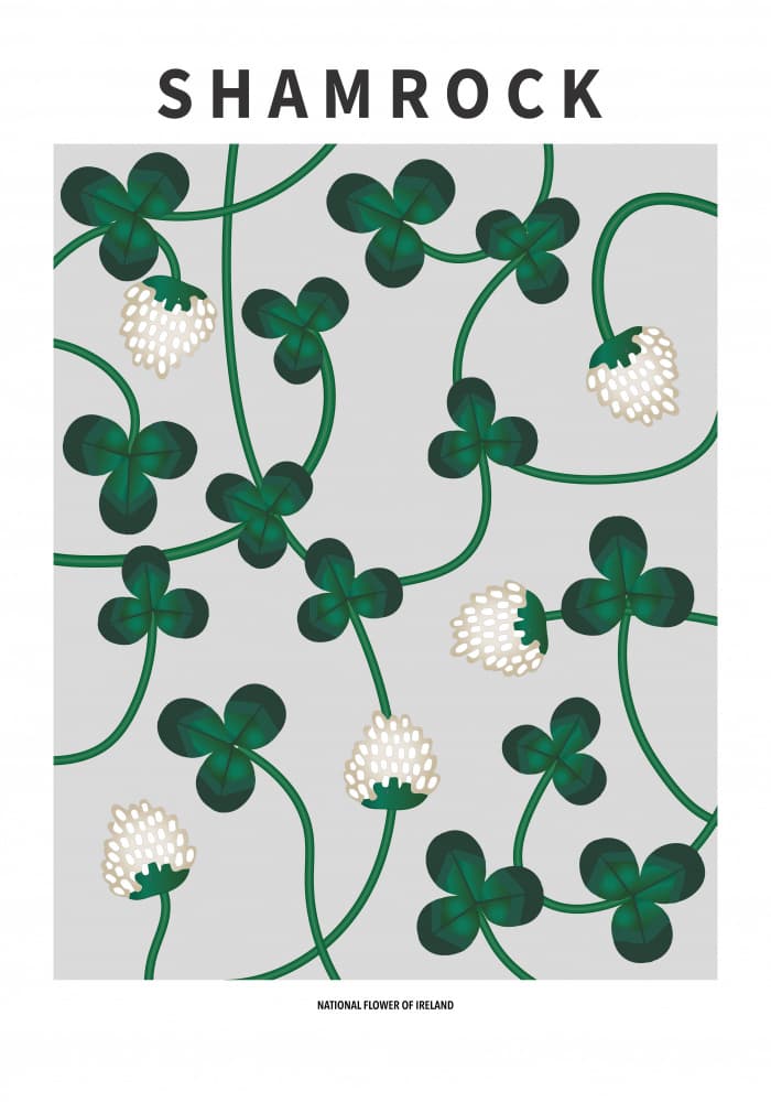 Irish Shamrock Blooms by Paperago — canvas wall art