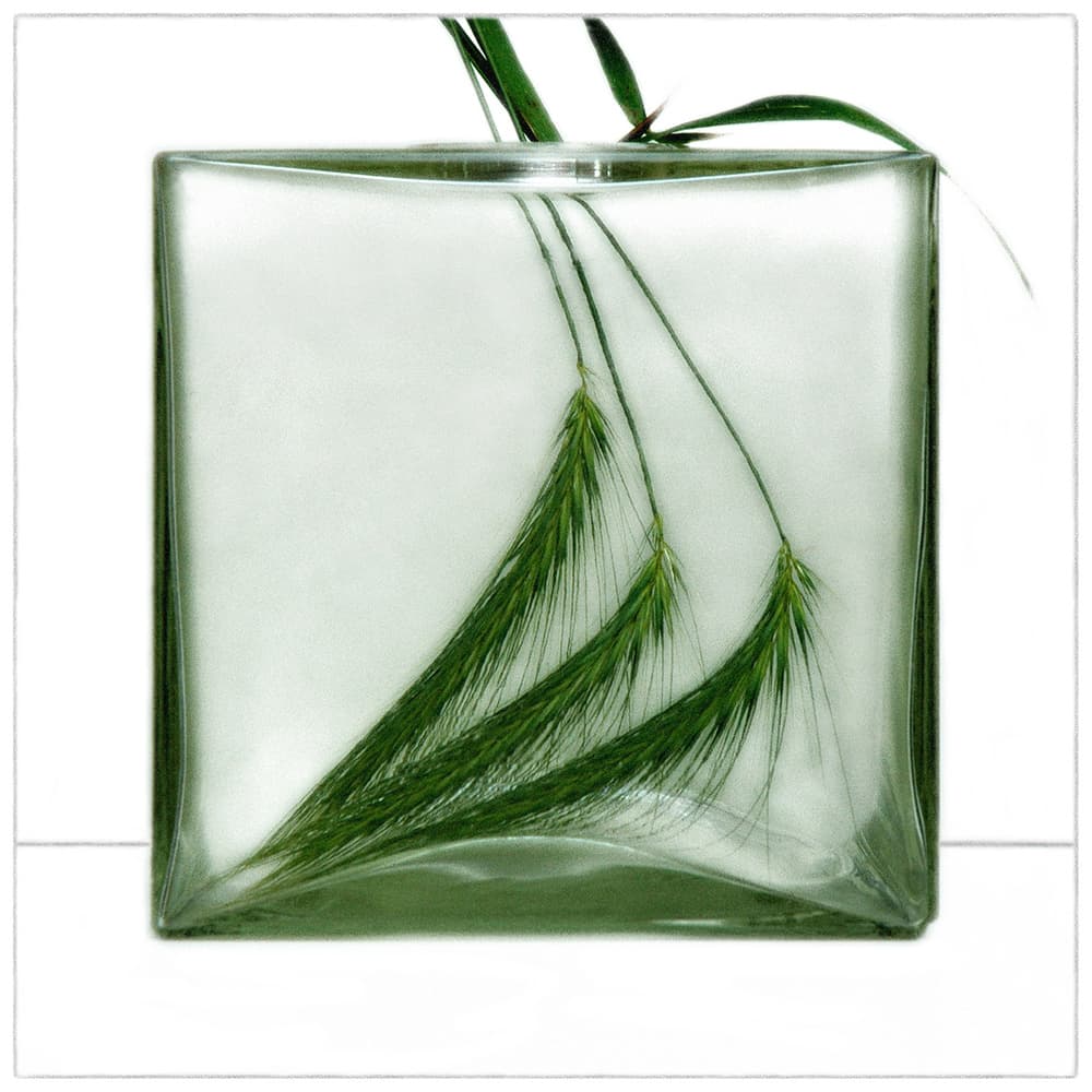 Fresh Green Glass Block by Huib Limberg — canvas wall art