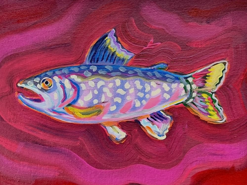 Vibrant Brook Trout by Pauline Wegman | Key and Sea Creative — canvas wall art