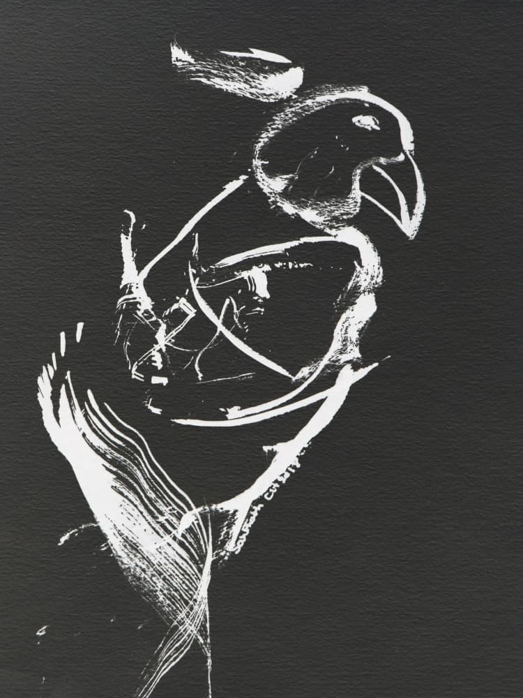 Minimalist Parrot Drawing by Santhosh ch — canvas wall art
