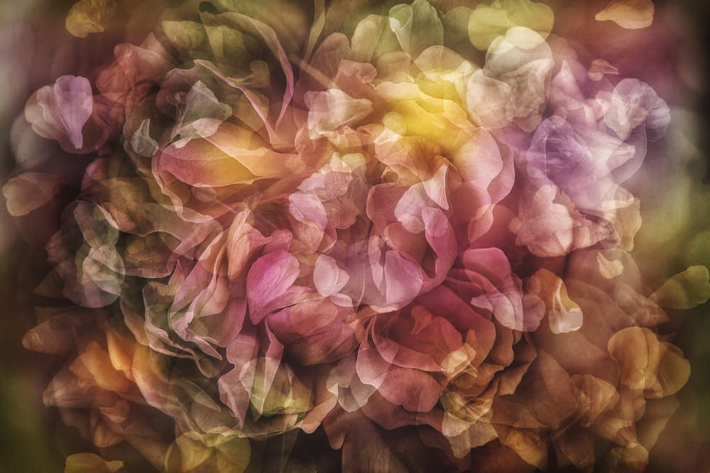 Dreamy Floral Layers by Ludmila Shumilova — canvas wall art