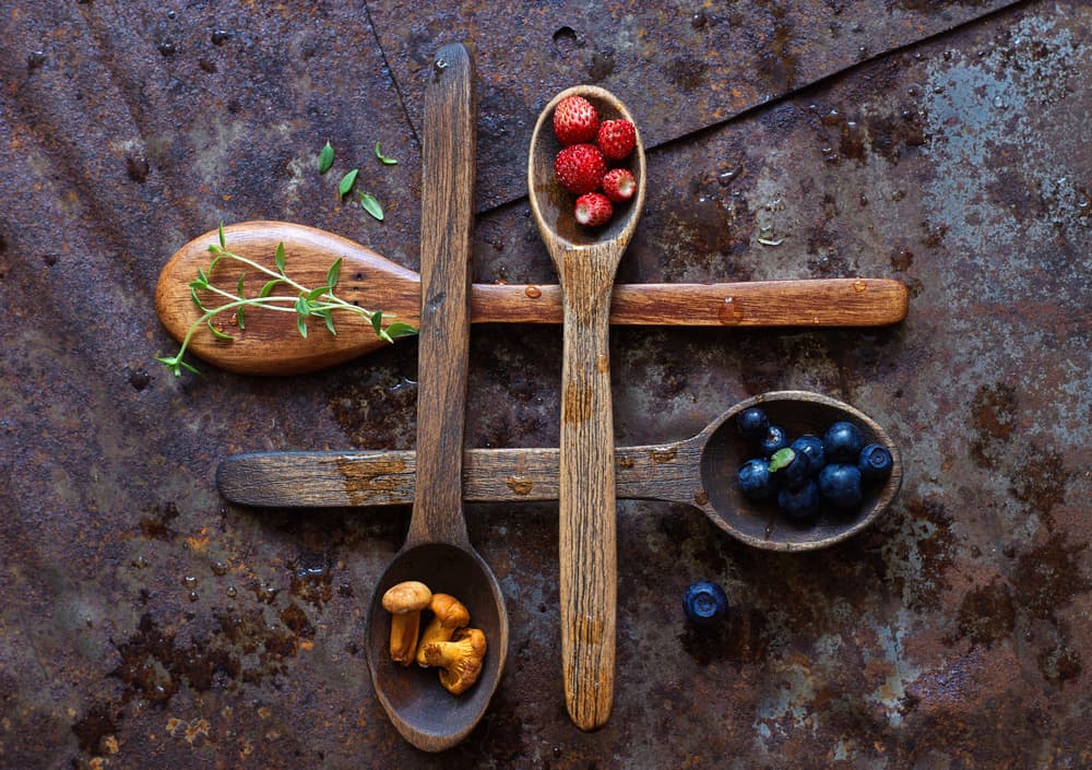 Earthy Spoonfuls by Karina Aleksandrova — canvas wall art