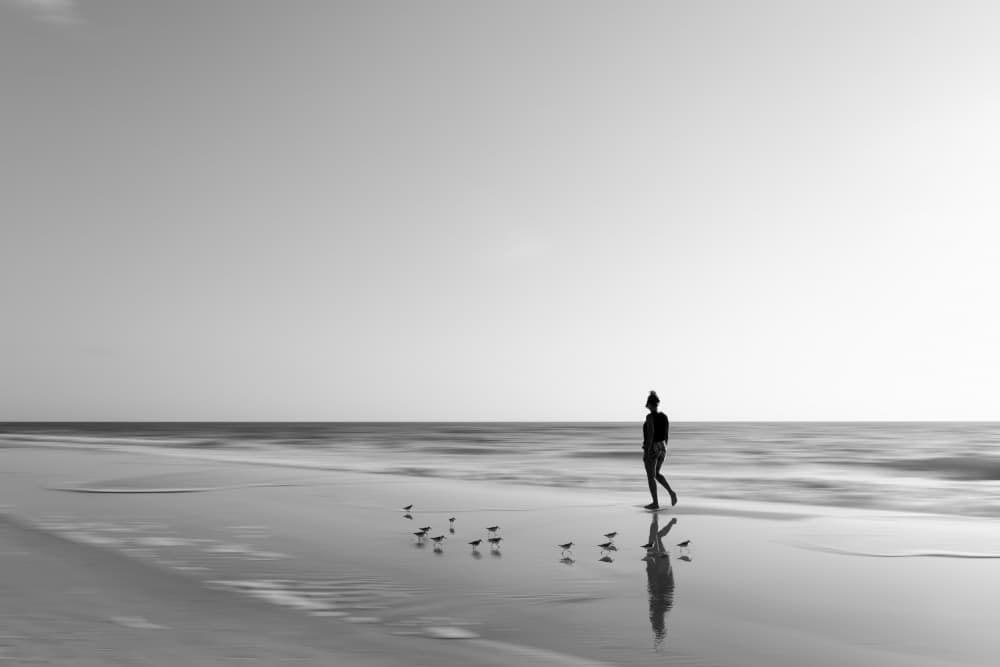 Solitary Beach Walk by Cindy Liu — canvas wall art