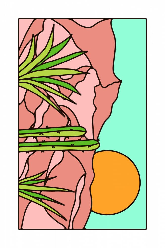 Desert Cactus Sunset by jay stanley — canvas wall art