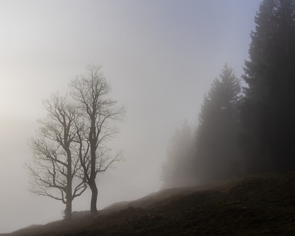 soft colors by Andy Dauer — canvas wall art