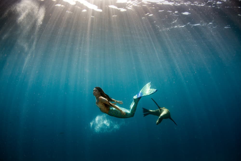 Mermaid and Sea Lion Swim by Andrea Izzotti — canvas wall art