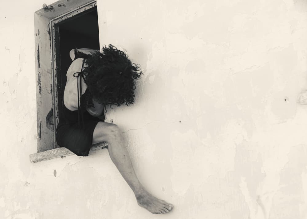 Window to Freedom by Rachel Pansky — canvas wall art