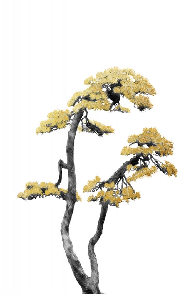 Golden Bonsai Tree by amini54 — canvas wall art