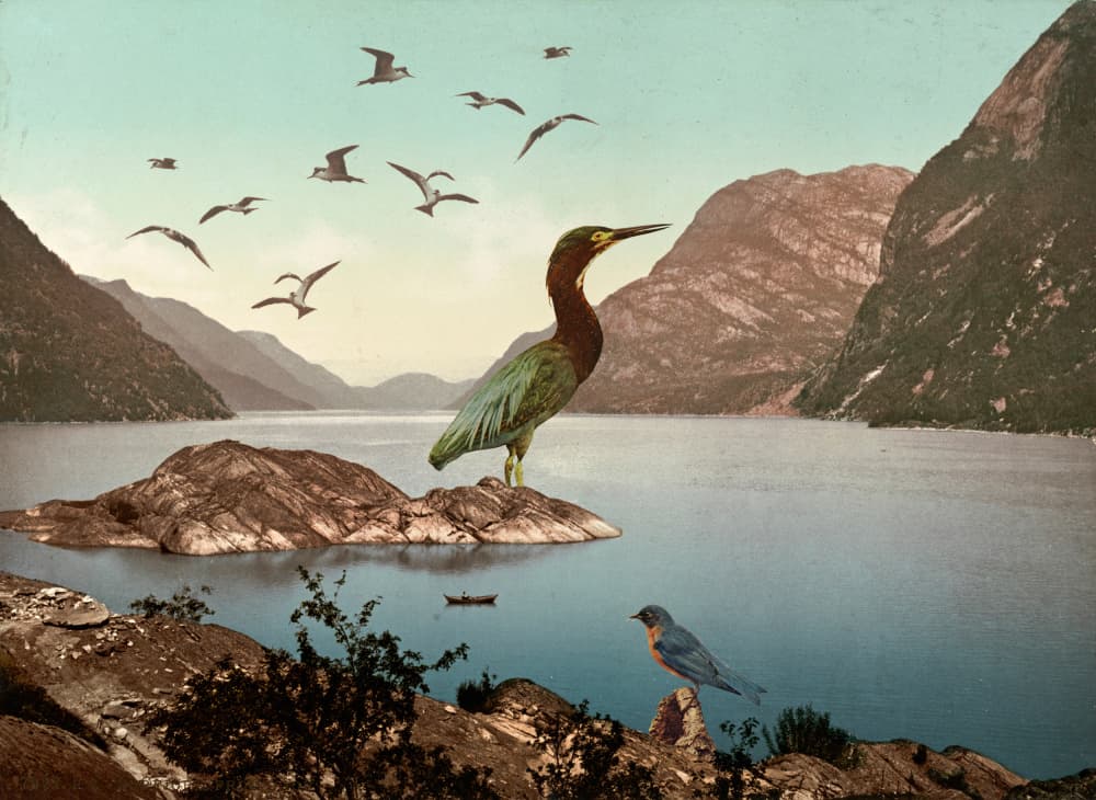 Green Heron Lake Scene by Mikhail Siskoff — canvas wall art