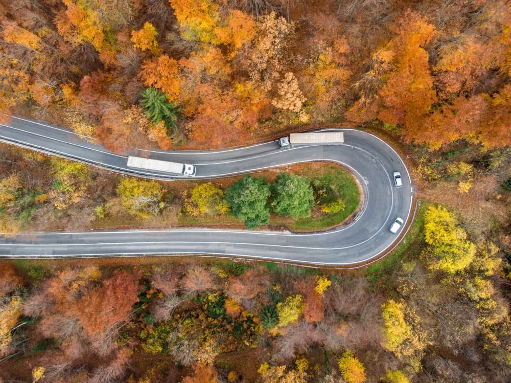 Winding Autumn Forest Road by Joško Šimic — canvas wall art