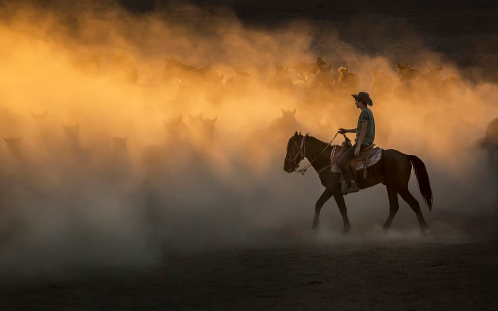 Cowboy and Wild Horses by Ali Can — canvas wall art