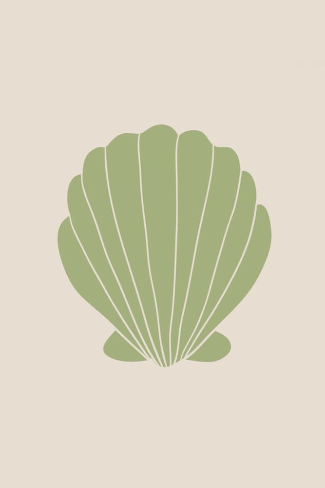 Minimalist Green Seashell by Talitha McQueen — canvas wall art