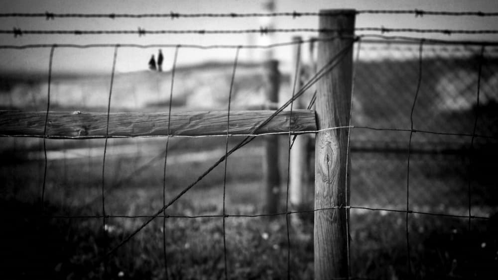 Rustic Barbed Wire Fence by Milena Seita — canvas wall art