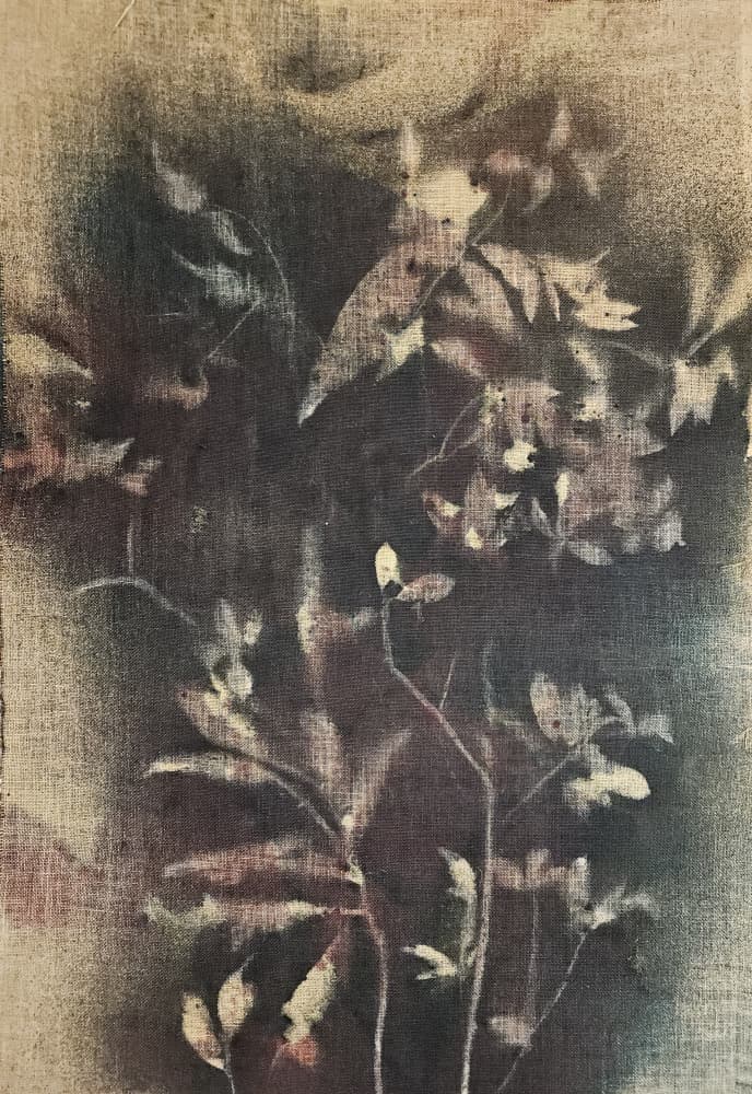 Faded Botanical Forms by Stefano Mazzolini — canvas wall art