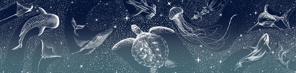 Celestial Sea Animals by Alirıza ÇAKIR — canvas wall art