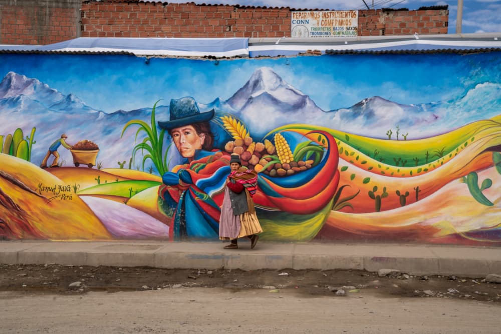 Andean Woman Street Mural by Corinne Spector — canvas wall art