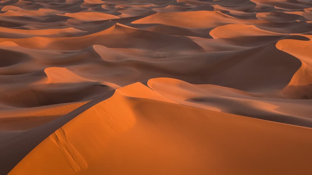 Golden Sand Dunes by Miroslaw Prybinski — canvas wall art