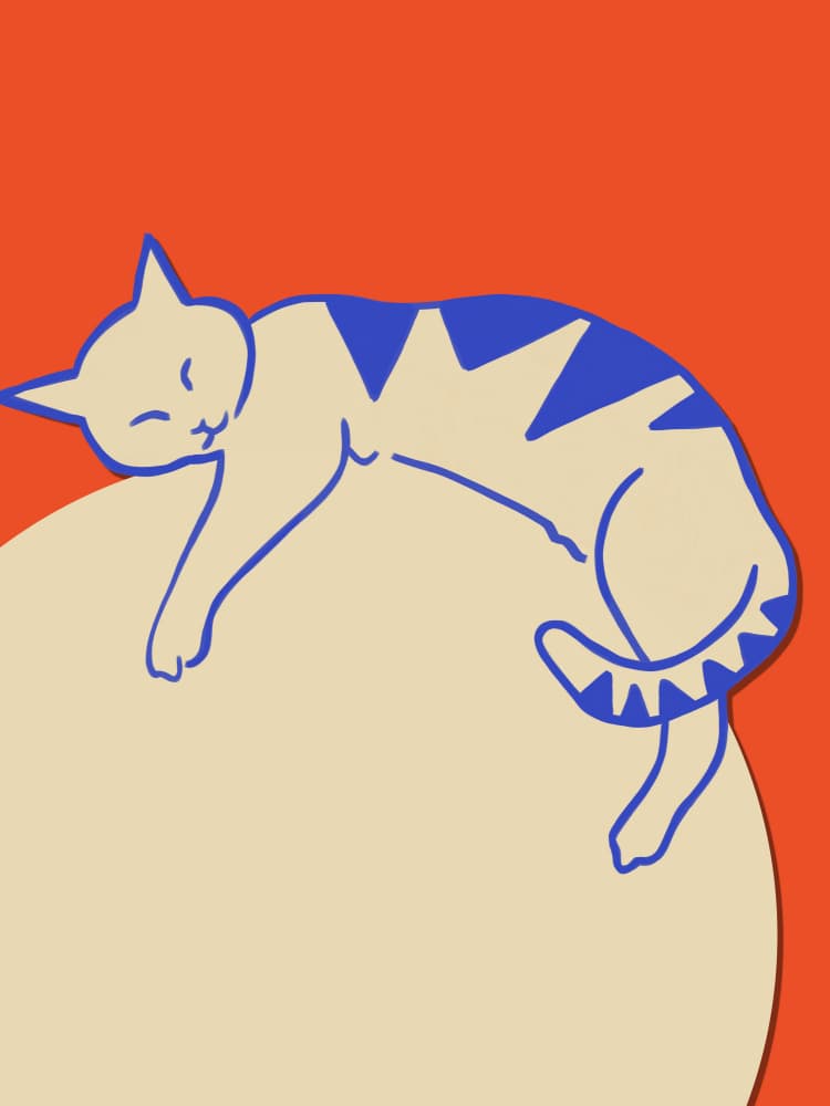 Cozy Cat Nap by Uma Gokhale — canvas wall art