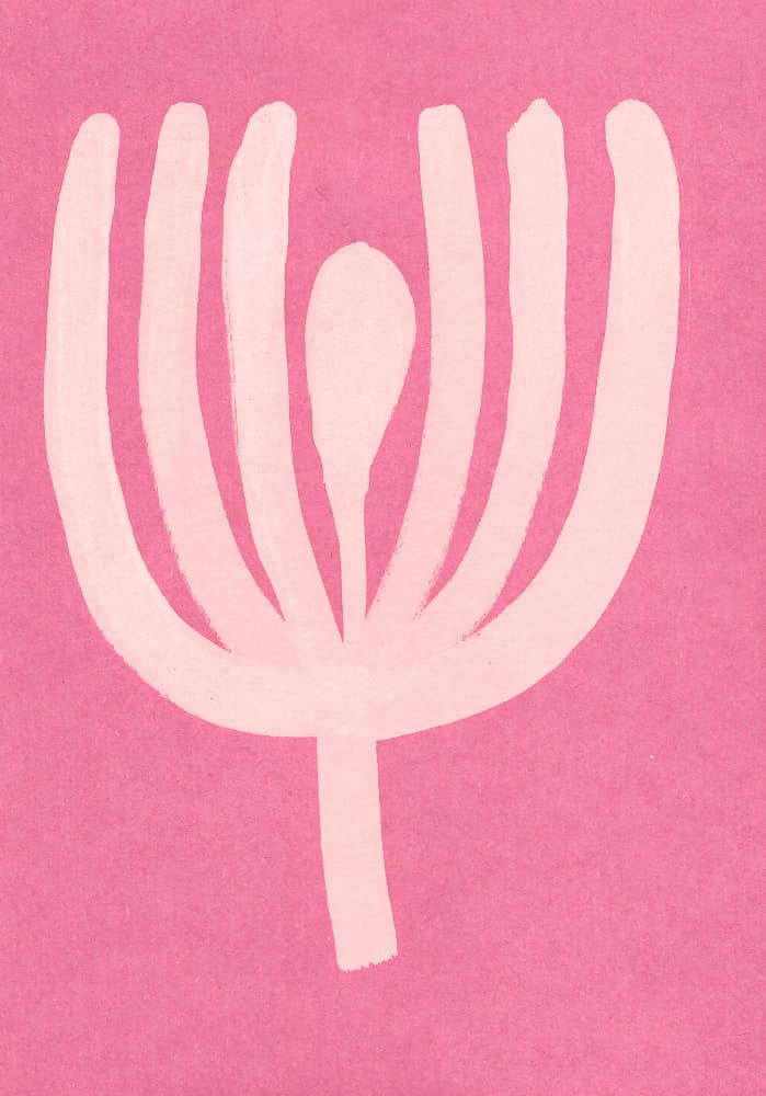 Soft Pink Bloom by Santhosh ch — canvas wall art