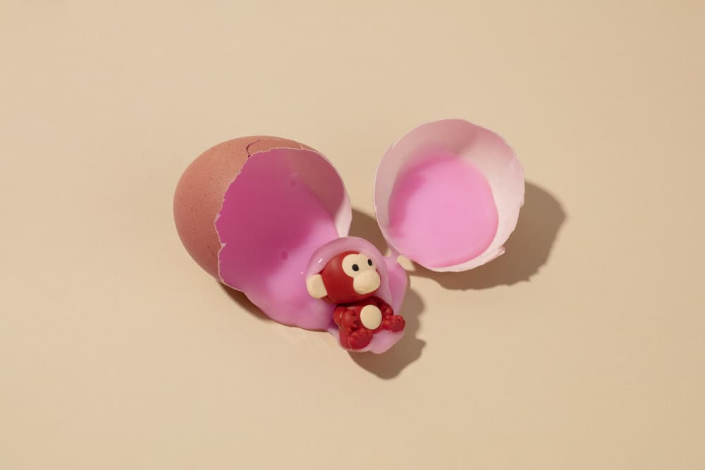 Cute Pink Egg Monkey by Julia Ramiro — canvas wall art