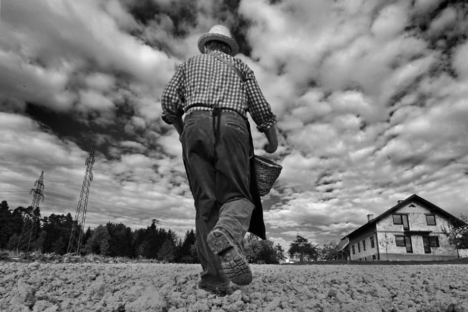 Working the Land by Jure Kravanja — canvas wall art